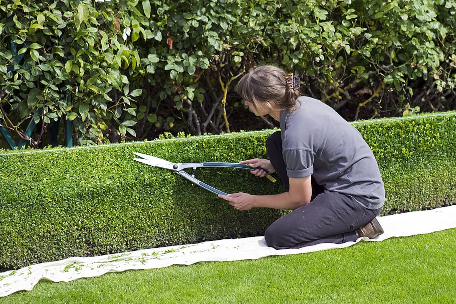 5 Benefits of Hedge Cutting and Trimming